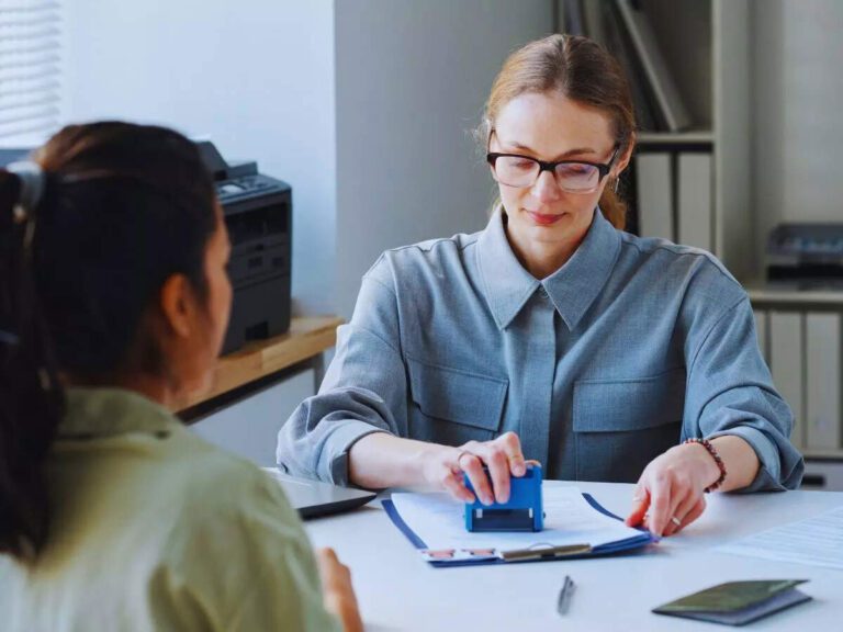 Immigration Consultant